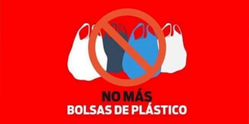 Cámara de Representantes prohíbe el uso de bolsas plásticas en Misiones